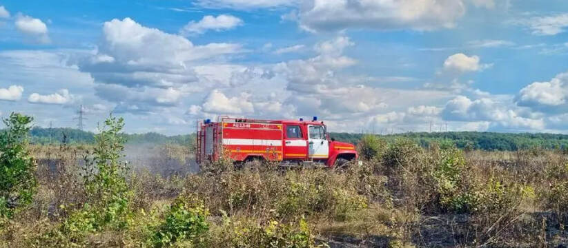  17 августа в Чапаевском лесничестве вспыхнул п...
