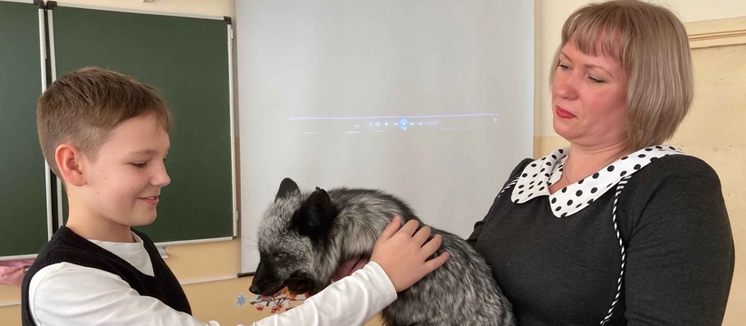 Эта история началась осенью шесть лет назад, ко...