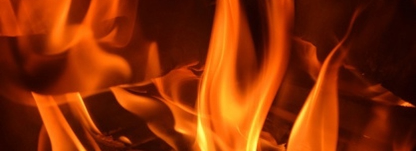 В Самарской области объявили 4-5 класс пожароопасности из-за жаркой погоды