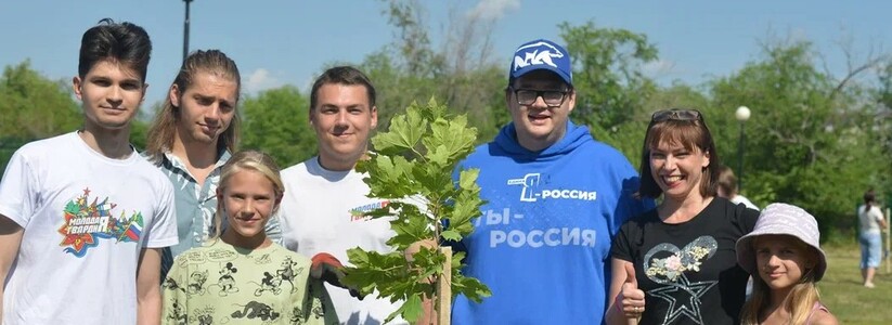 В Новокуйбышевске в День семьи, любви и верности высадили аллею из 35 кленов