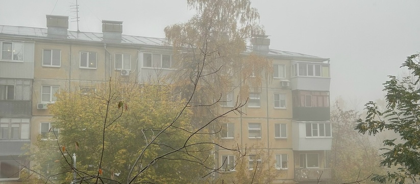 Синоптики объявили желтый уровень опасности из-за тумана в Самарской области Видимость 29 октября может снизиться до 500 мет...