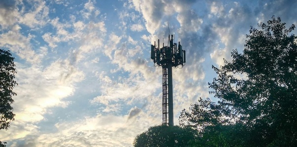 МТС накрыла сетью 4G городской парк Кинеля на о...