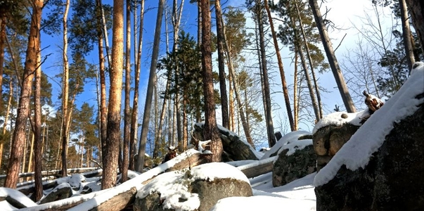 МТС накрыла сетью 4G район знаменитых Рачейских...