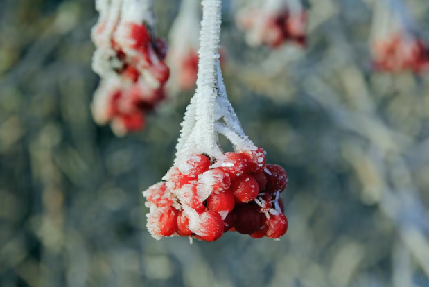 Зима уходит прочь от нас: Вильфанд сообщил россиянам об ожидаемой волне тепла в декабре