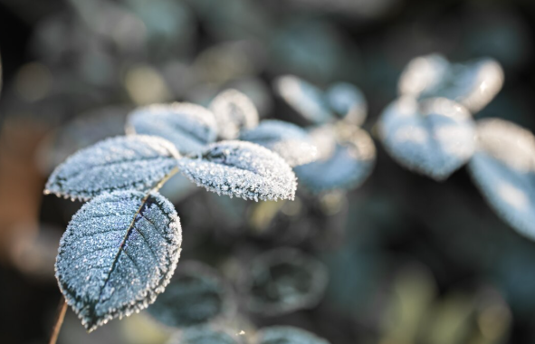 Холодрыга будет жуткая: Вильфанд сделал неутешительный прогноз погоды на ближайшее время — температура ниже нормы