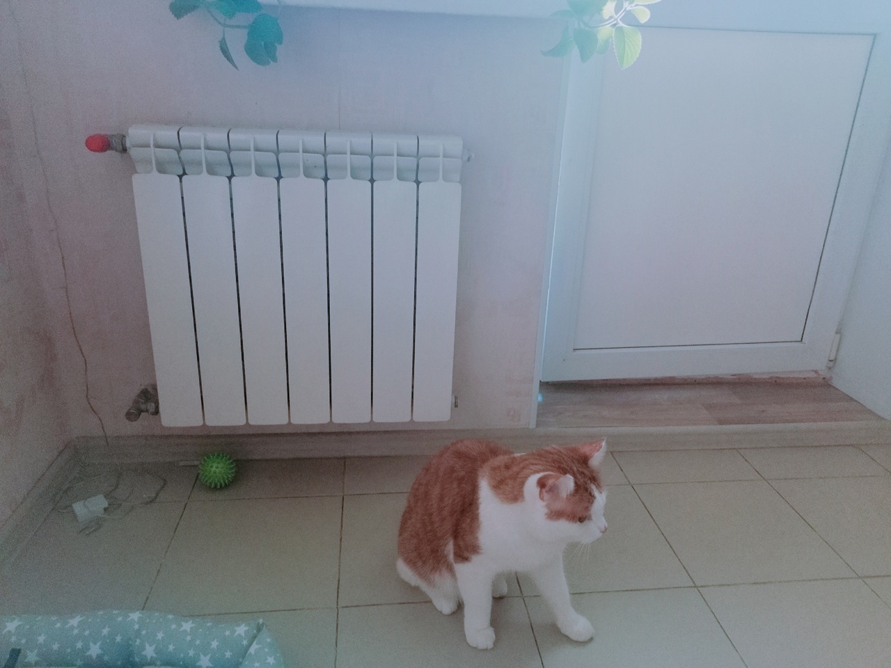 Холод в квартирах на улице Матросова в Самаре связали с нарушениями в работе УК