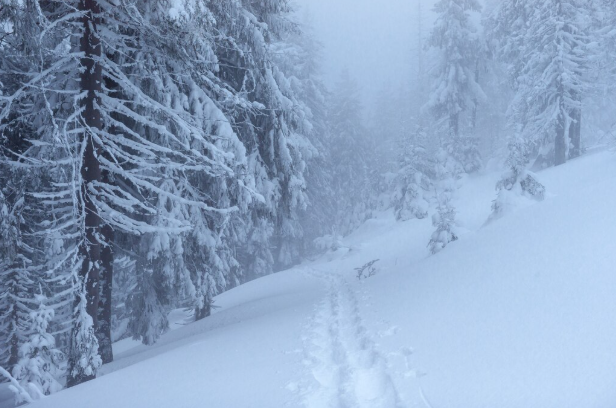 Мороз вернется к нам в середине февраля: Вильфанд предупреждает о сильном похолодании до -30