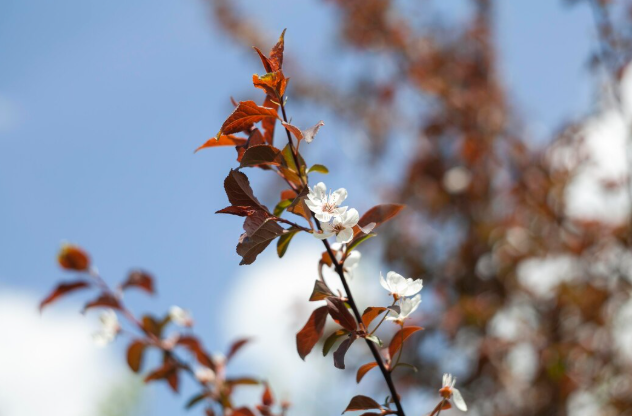 Когда все же наступит весна в 2026 году: Вильфанд дал прогноз с неожиданным поворотом