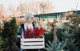 ТОП-10 самых холодостойких растений для дачи и ...