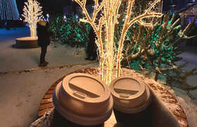 Куда сходить зимой в Самаре: гид по лучшим идея...