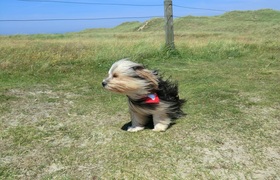 В Самарской области 4 ноября ожидаются порывы в...