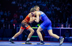 Спортивная борьба получила статус базового вида...