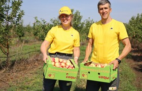 Волонтеры Куйбышевского НПЗ собрали урожай ябло...