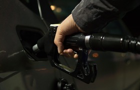 Бензин из одуванчиков: BMW и Toyota будут испол...