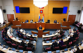 Губдума Самарской области изменила структуру пр...