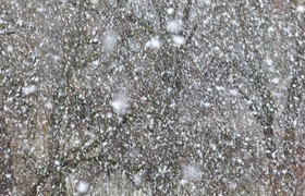 МЧС по Самарской области предупредило о сильном...