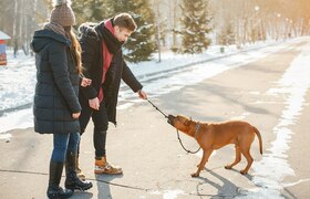  Штрафы до 80 тысяч рублей: юрист рассказал, за...