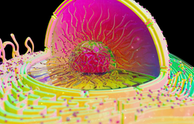 Учёные открыли новый способ «перезаряжать» стар...