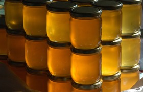 В Курумоче не допустили ввоз 20 кг продуктов бе...